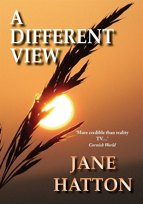 A Different View (Paperback)