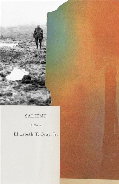 Salient (Paperback)