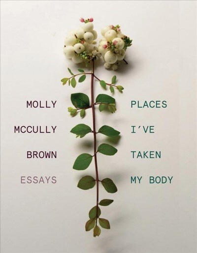 Places Ive Taken My Body: Essays (Hardcover)