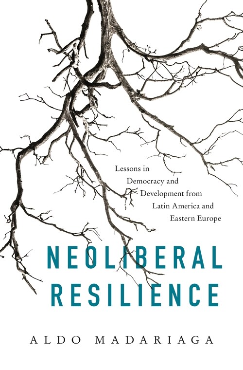 Neoliberal Resilience: Lessons in Democracy and Development from Latin America and Eastern Europe (Hardcover)