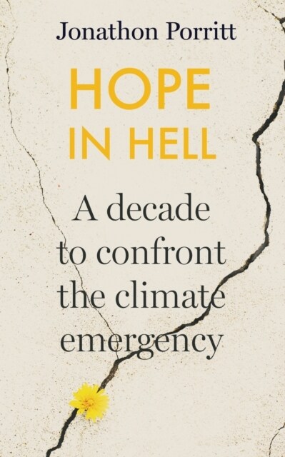 Hope in Hell : A decade to confront the climate emergency (Hardcover)