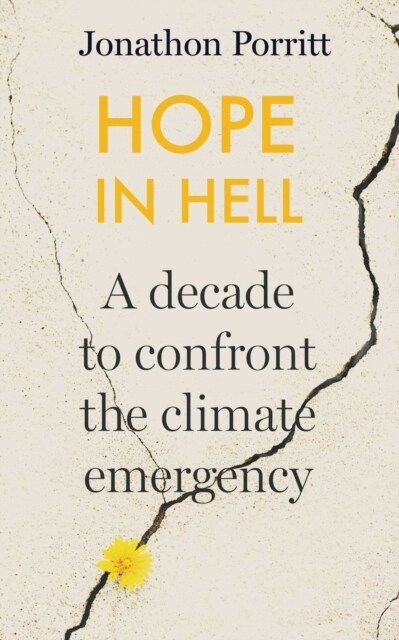 Hope in Hell : A decade to confront the climate emergency (Paperback, Export/Airside)