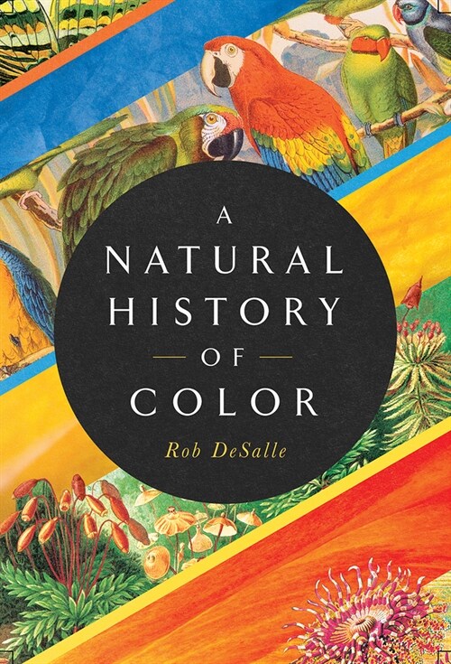 A Natural History of Color: The Science Behind What We See and How We See It (Hardcover)