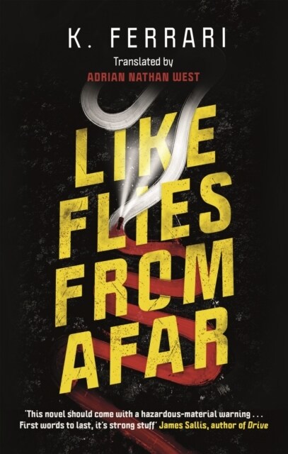 Like Flies from Afar (Paperback, Main)