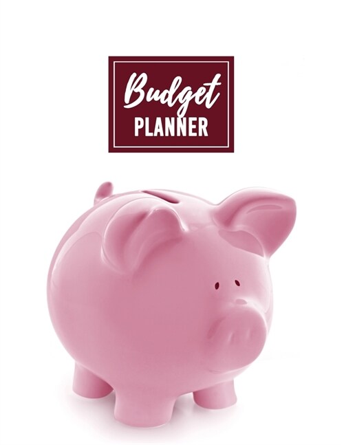 Budget Planner: Daily Weekly & Monthly Finance Budget Planner l Expense Tracker & Bill Organizer l Budget Planning (8.5x11) V17 (Paperback)
