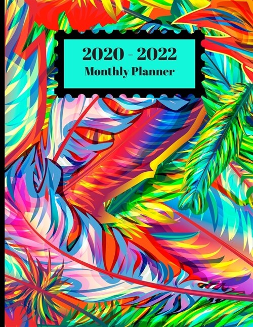 2020-2022 Monthly Planner: Watercolor Bird Feathers Colorful Design Cover 2 Year Planner Appointment Calendar Organizer And Journal Notebook (Paperback)