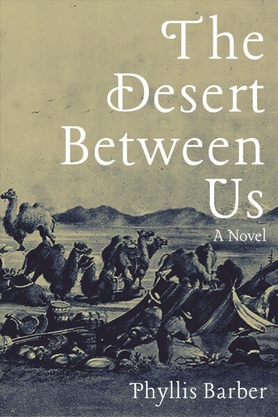 The Desert Between Us: A Novel Volume 1 (Hardcover)