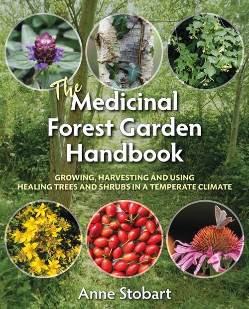 The Medicinal Forest Garden Handbook : Growing, harvesting and using healing trees and shrubs in a temperate climate (Paperback)
