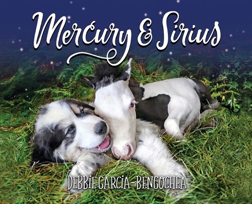 Mercury & Sirius (Hardcover)