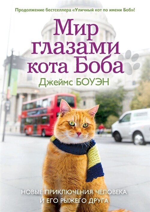 Мир глазами кота Боба. Ноk (Paperback)