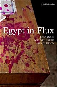 Egypt in Flux: Essays on an Unfinished Revolution (Paperback)