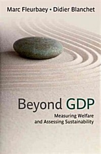 Beyond GDP: Measuring Welfare and Assessing Sustainability (Hardcover)