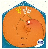 [빅북] 딱 맞아