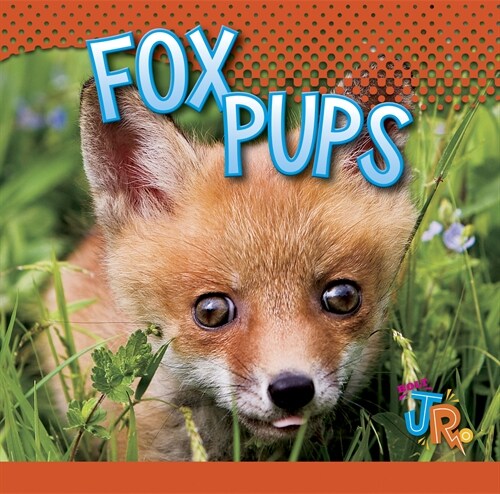 Fox Pups (Library Binding)