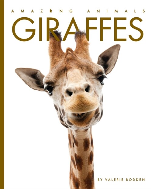 Giraffes (Library Binding)