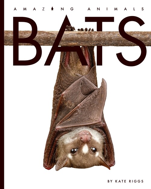 Bats (Library Binding)