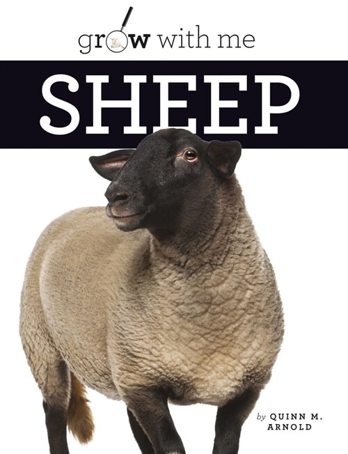 Sheep (Library Binding)