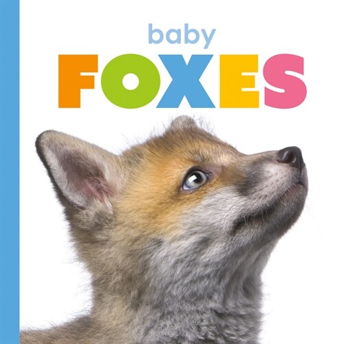 Baby Foxes (Library Binding)
