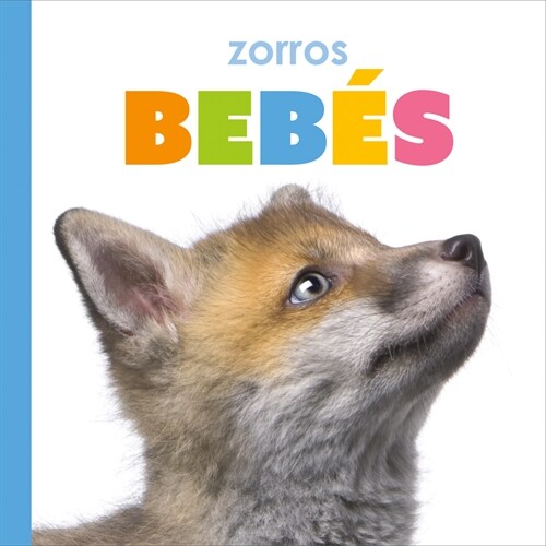 Zorros Beb? (Library Binding)
