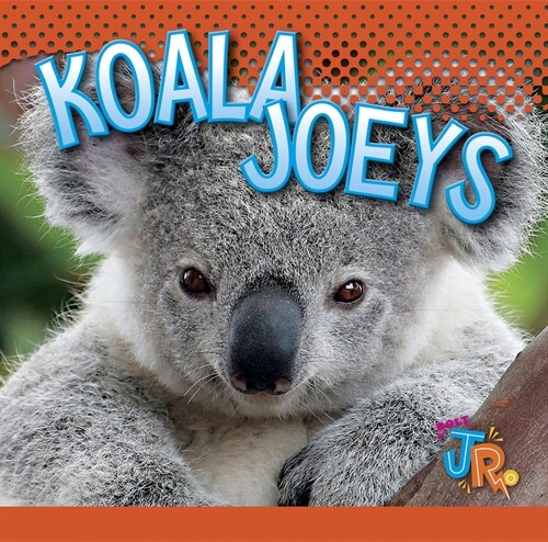 Koala Joeys (Library Binding)