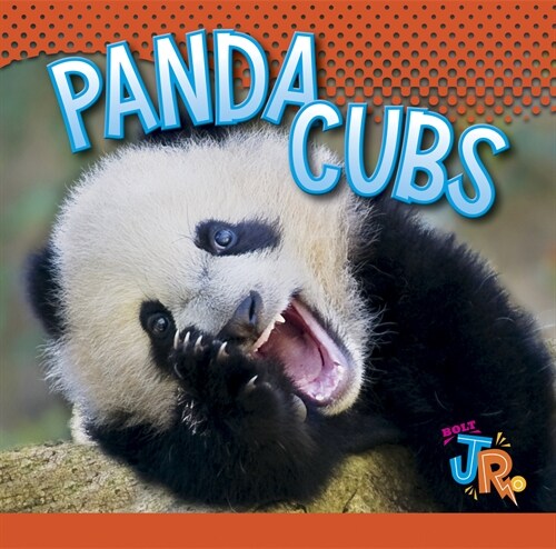 Panda Cubs (Library Binding)
