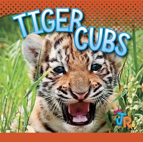 Tiger Cubs (Library Binding)