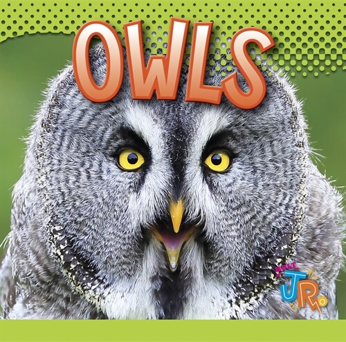 Owls (Library Binding)