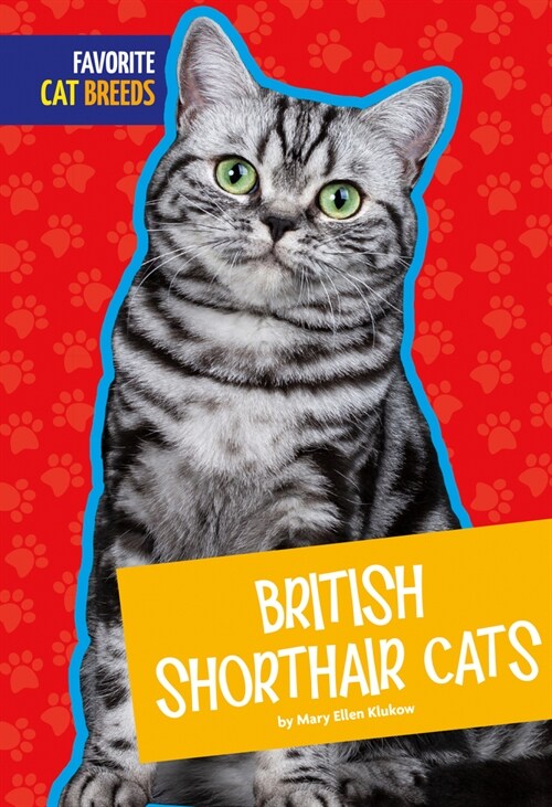 British Shorthair Cats (Library Binding)