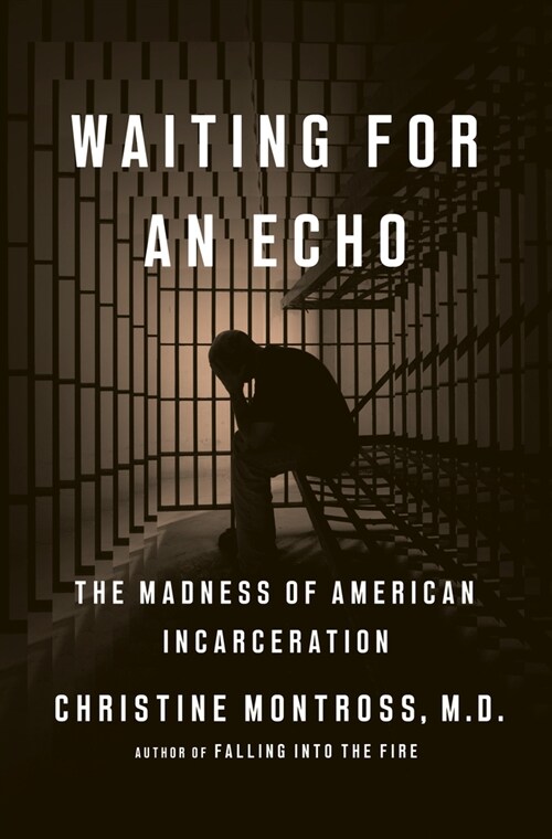 Waiting for an Echo: The Madness of American Incarceration (Hardcover)