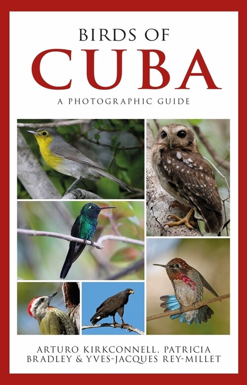 Photographic Guide to the Birds of Cuba (Paperback)