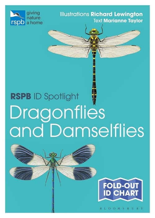 Rspb Id Spotlight - Dragonflies and Damselflies (Paperback)