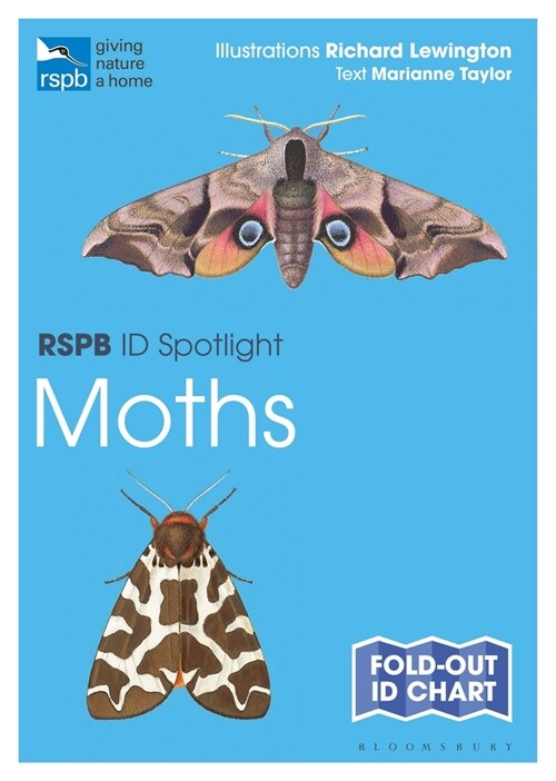 Rspb Id Spotlight - Moths (Paperback)