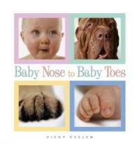 Baby nose to baby toes 표지이미지