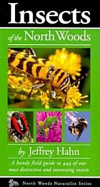 Insects of the North Woods (Paperback)