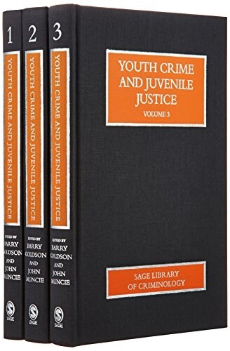 Youth Crime and Juvenile Justice (Hardcover)