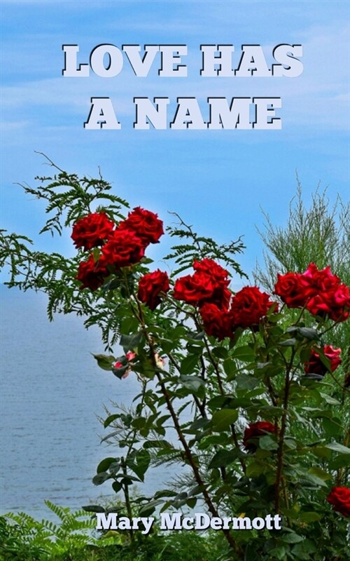 Love Has a Name (Paperback)