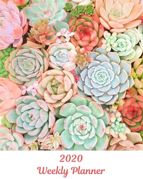 2020 Weekly Planner: Succulents; January 1, 2020 - December 31, 2020; 8 x 10 (Paperback)