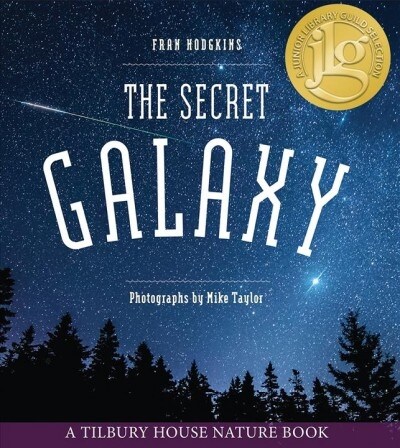 The Secret Galaxy (Paperback)