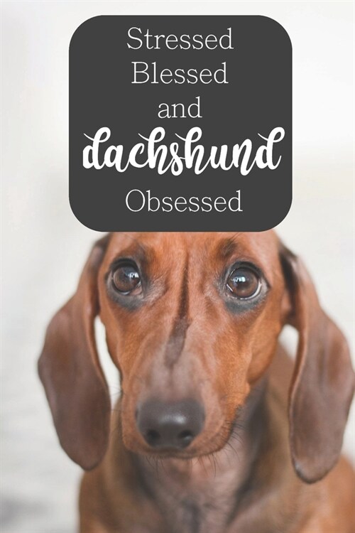 Stressed Blessed and Dachshund Obsessed: 100-page blank lined journal for dachshund lovers (Paperback)