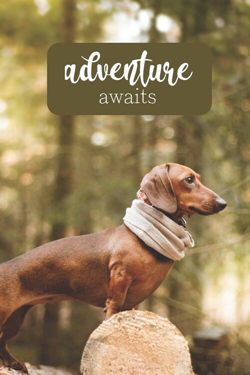 Adventure Awaits: 100-page blank lined journal for dachshund lovers (Paperback)