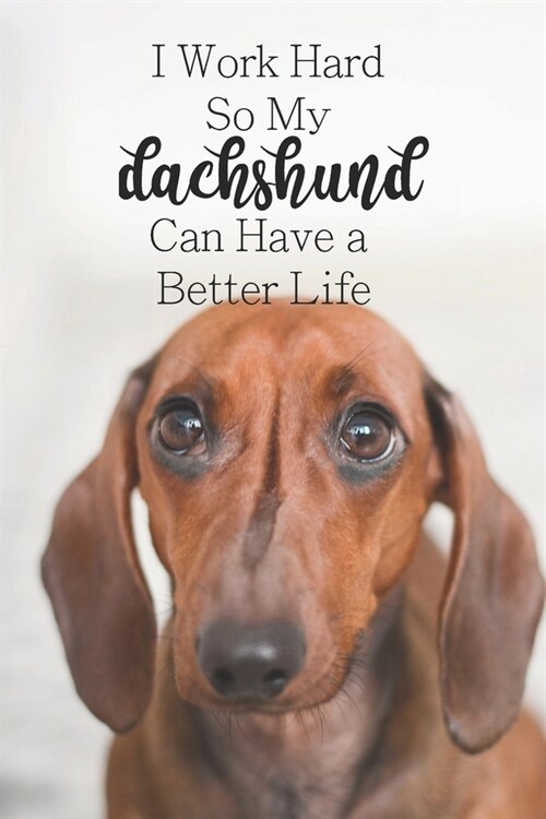 I Work Hard So My Dachshund Can Have a Better Life: 100-page blank lined journal for dachshund lovers (Paperback)