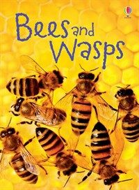 Bees and Wasps (Hardcover)