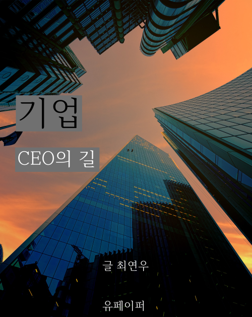 기업 CEO의 길