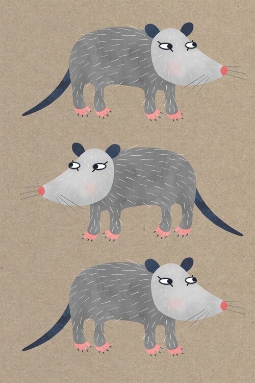 Notes: A Blank Squared Paper Journal with Cute Possum Cover Art (Paperback)