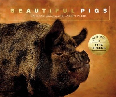 Beautiful Pigs : Portraits of champion breeds (Paperback)