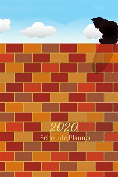 2020 Schedule Planner: Schedule & Notes Organizer - Calendar & Diary - Tel Info & Password Log - Perfect Size 6x9 inches - 128 Pages (Paperback)
