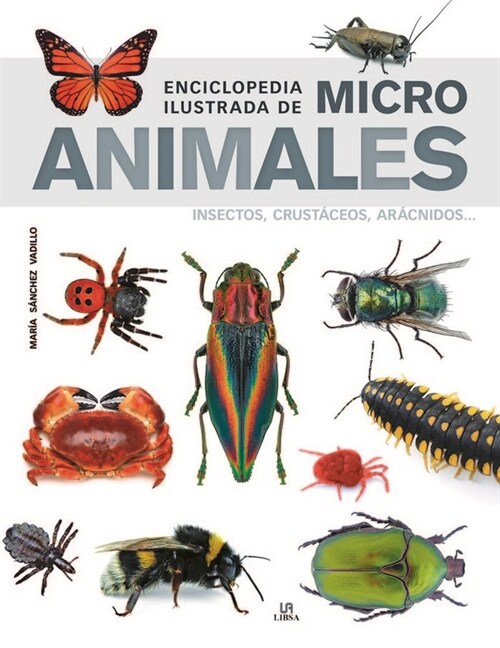 ENCICLOPEDIA ILUSTRADA DE MICRO ANIMALES (Hardcover)