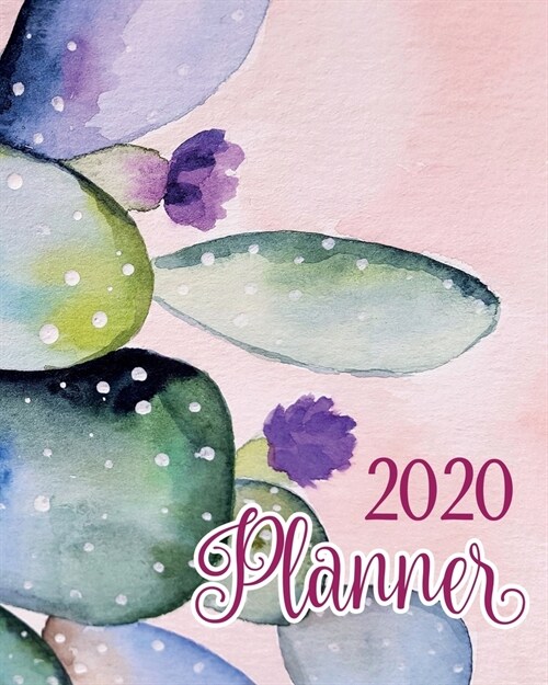 2020 Planner: and Calendar - Business, Professional and Personal Diary - Keep All Appointments In One Place - Plenty Of Space For Ea (Paperback)