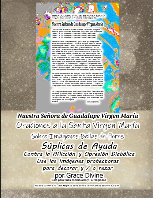 Nuestra Se?ra de Guadalupe Virgen Mar? Oraciones a la Santa Virgen Maria Sobre Imagenes Bellas de Flores Suplicas de Ayuda (Paperback)