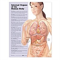 Internal Organs of the Human Body Anatomical Chart (Hardcover)